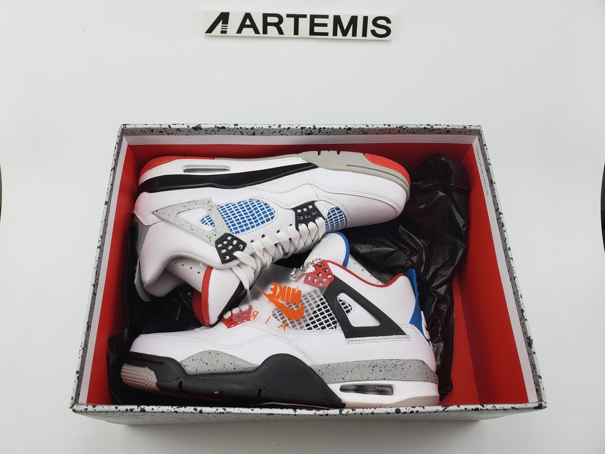 Air Jordan 4 Retro SE